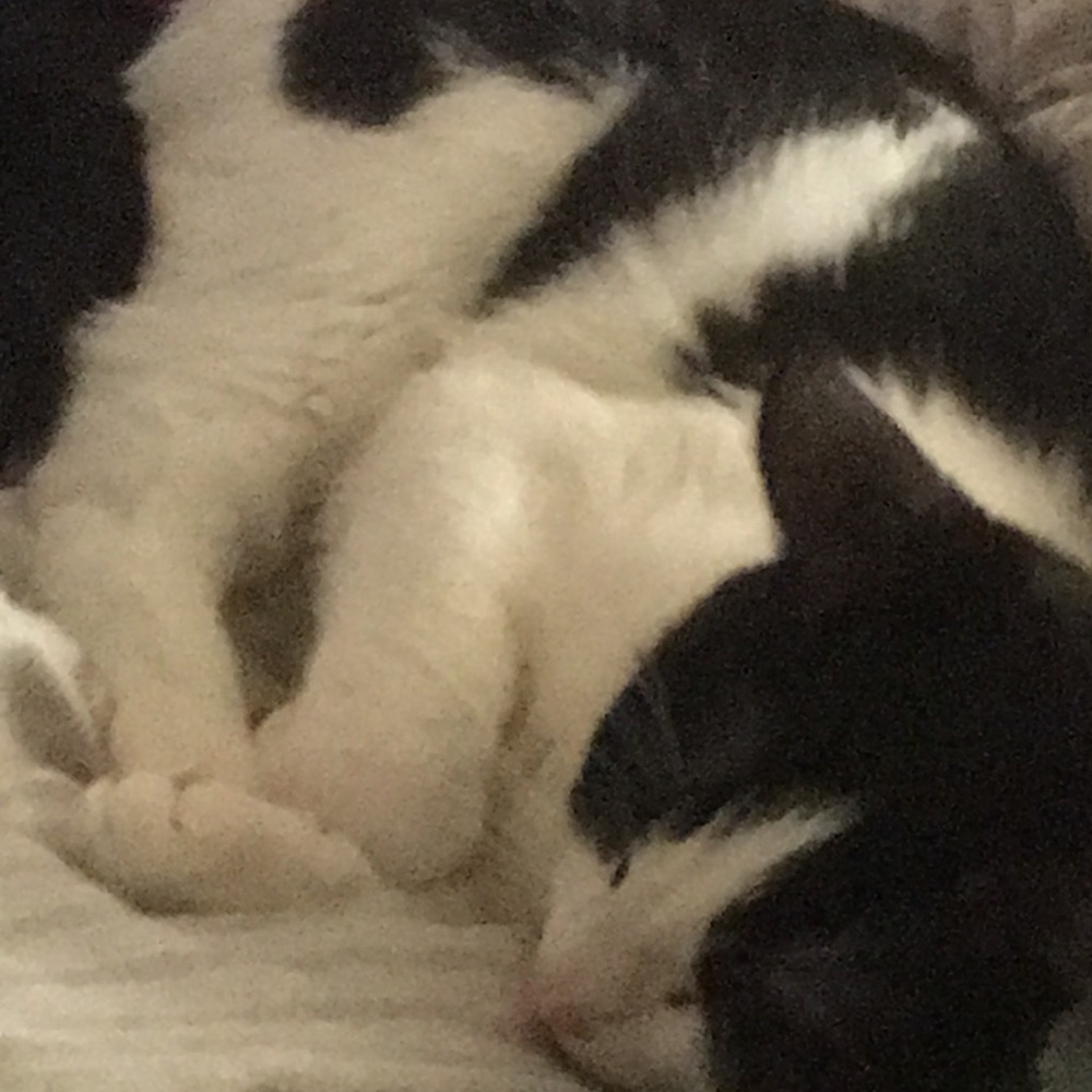 Meet your Posher, Maria